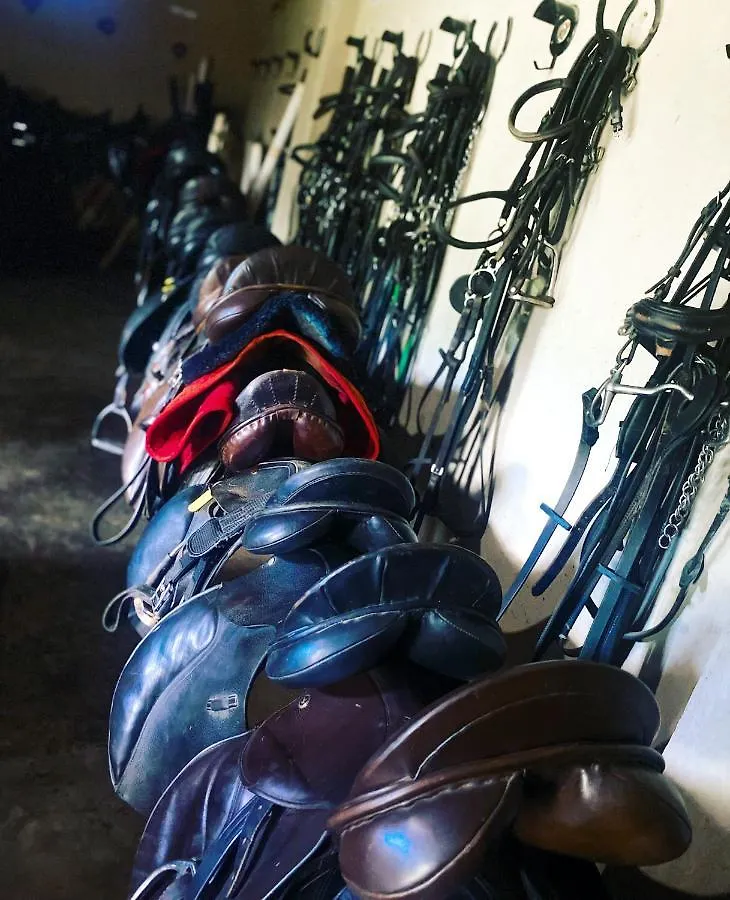 Horse Ranch Gayaza Rd Villa Kampala Agroturismo