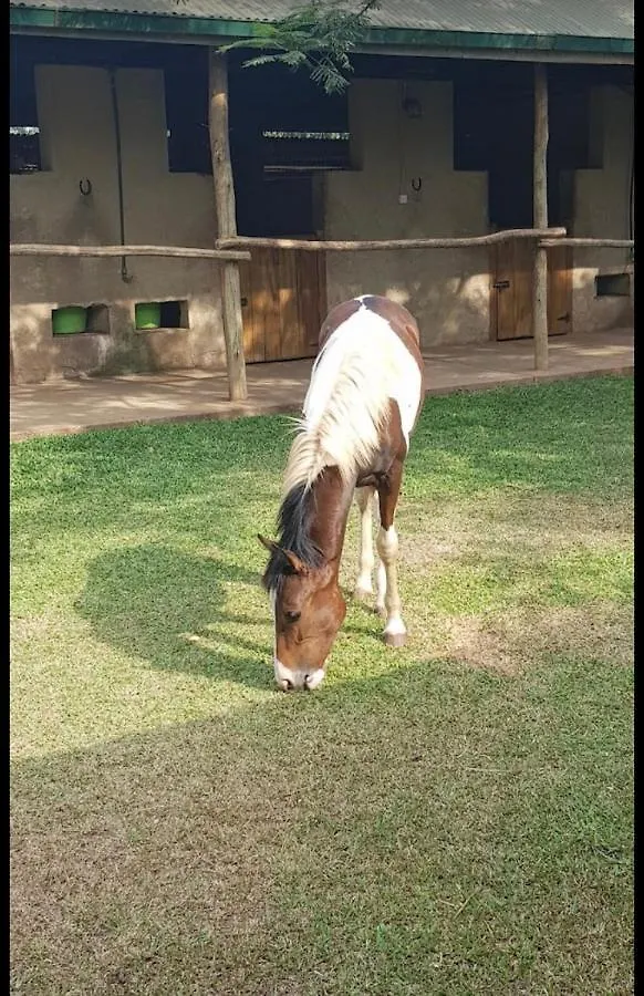 Horse Ranch Gayaza Rd Villa Kampala